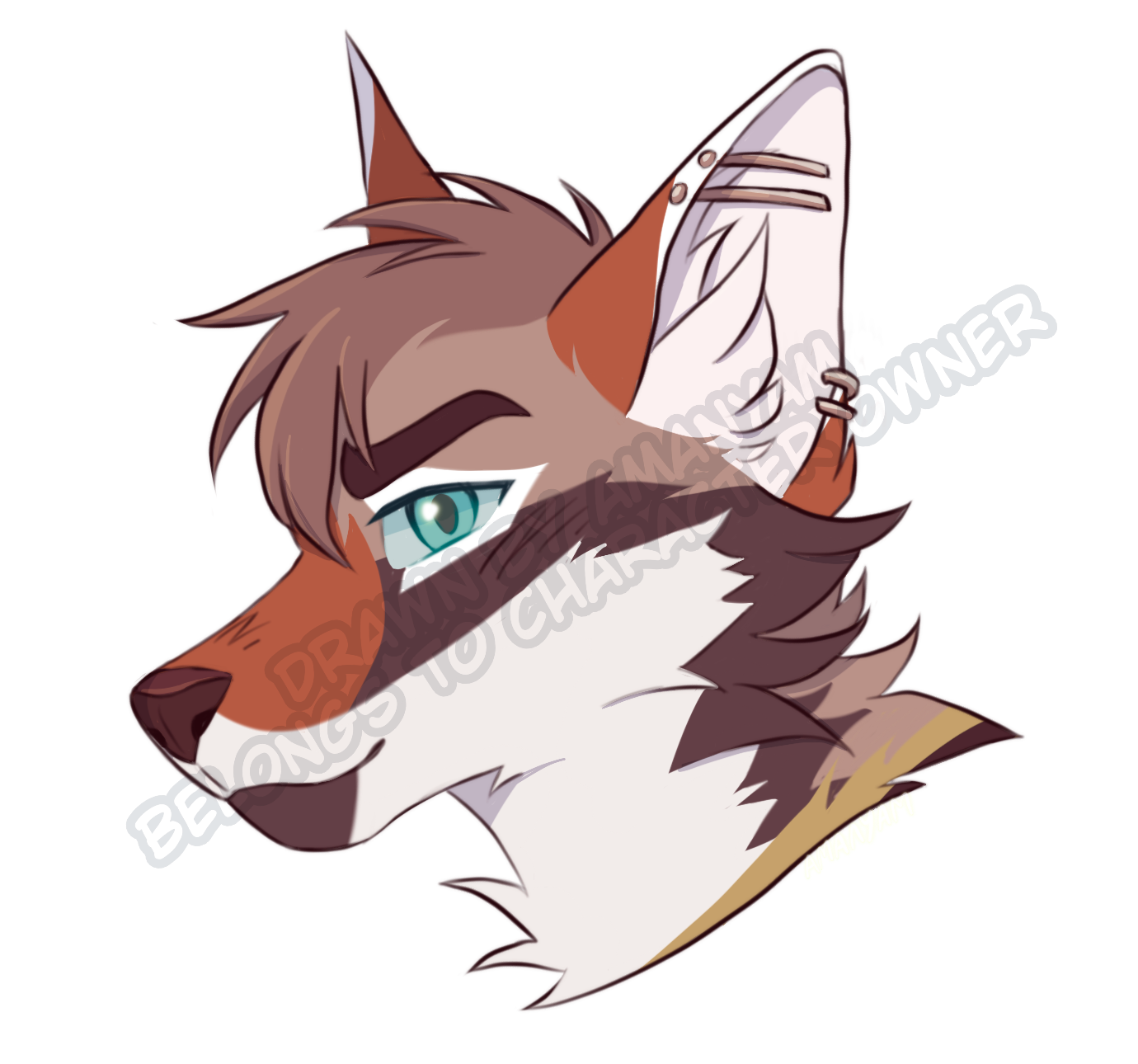 one shaded headshot (30 USD)