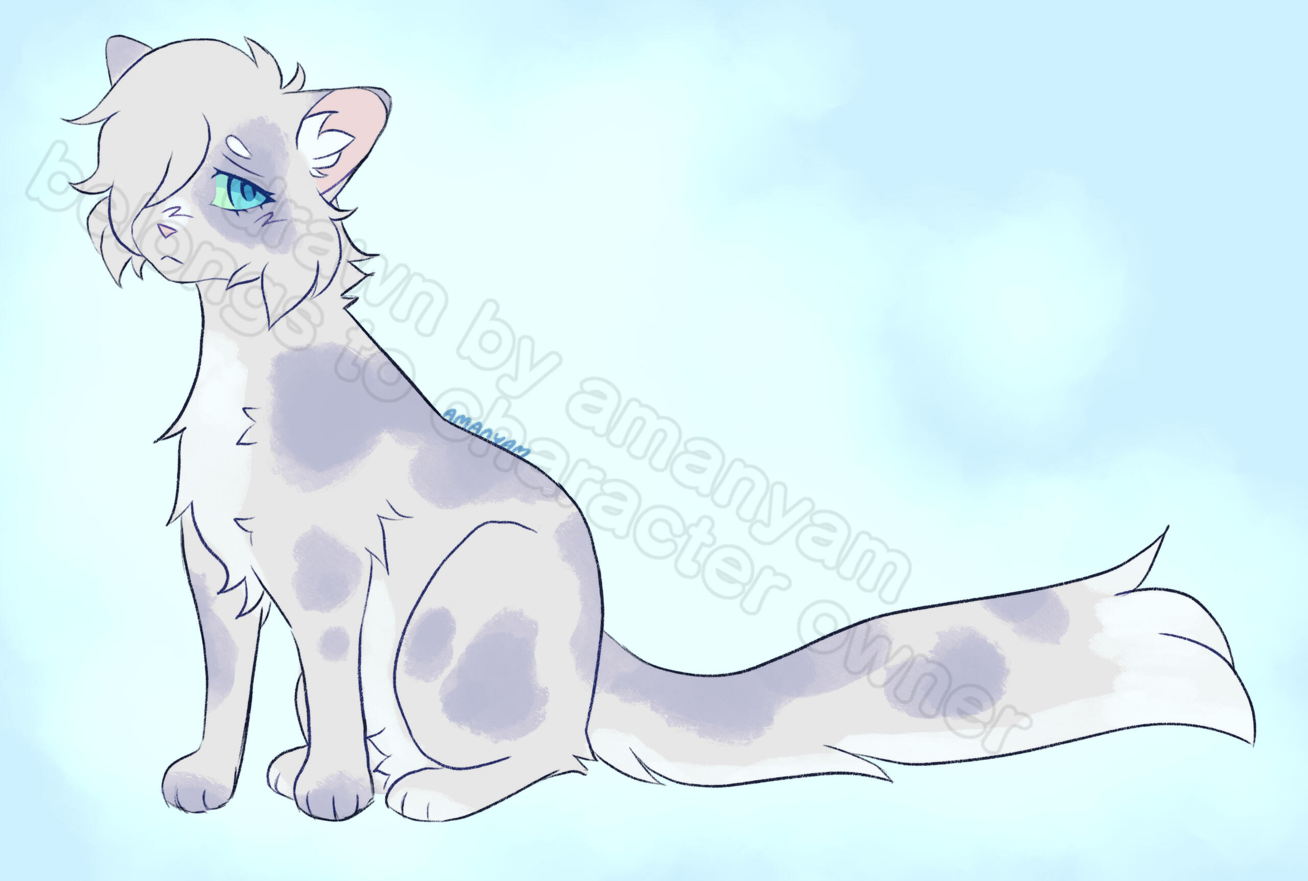 flat full-body (35 USD)