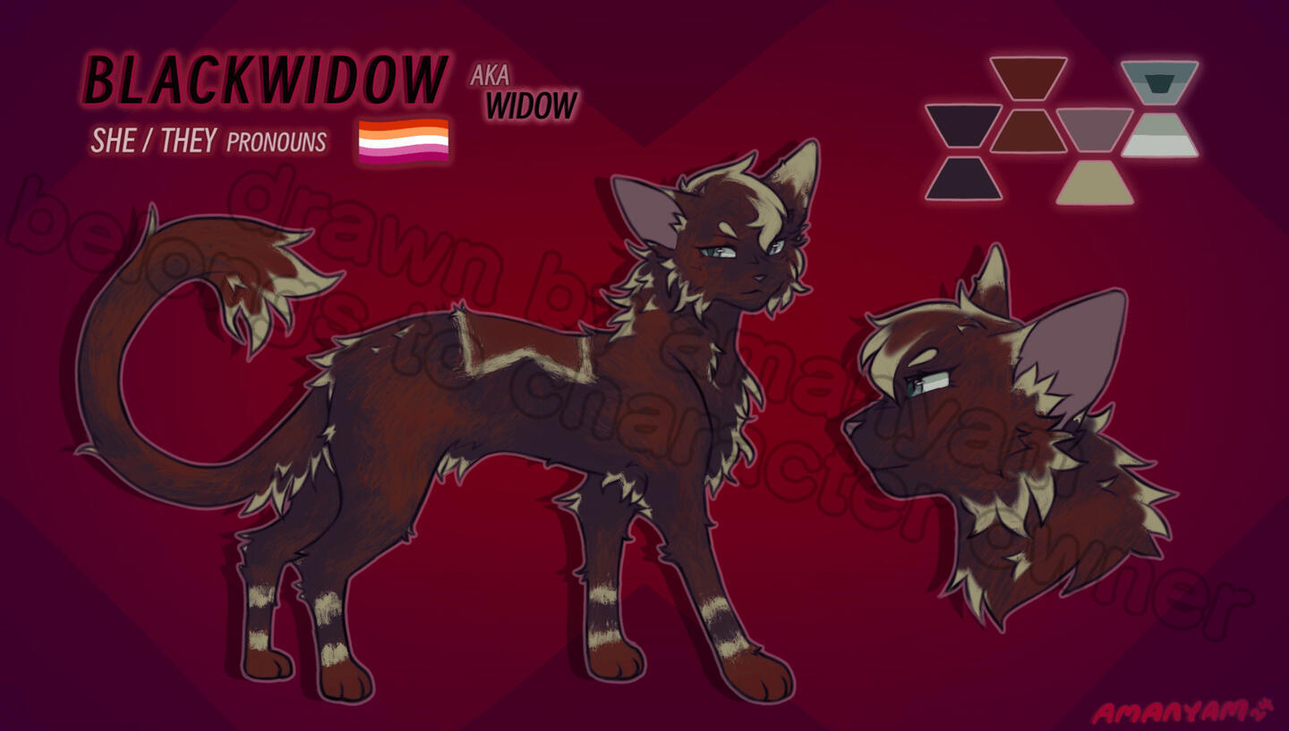 reference sheet (50 USD)